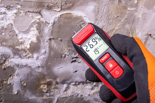 Best Residential Mold Remediation in Greenville, MI