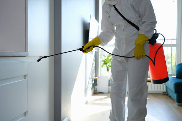 Best Residential Mold Remediation in Greenville, MI