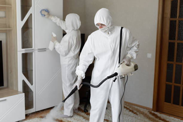 Best Crawl Space Mold Remediation in Greenville, MI